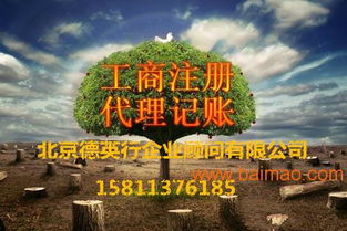 金融服務(wù)外包公司轉(zhuǎn)讓 聚焦金融信息技術(shù)外包的全方位指南